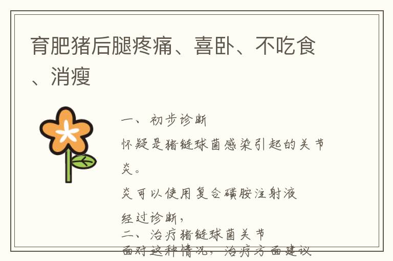 育肥猪后腿疼痛、喜卧、不吃食、消瘦