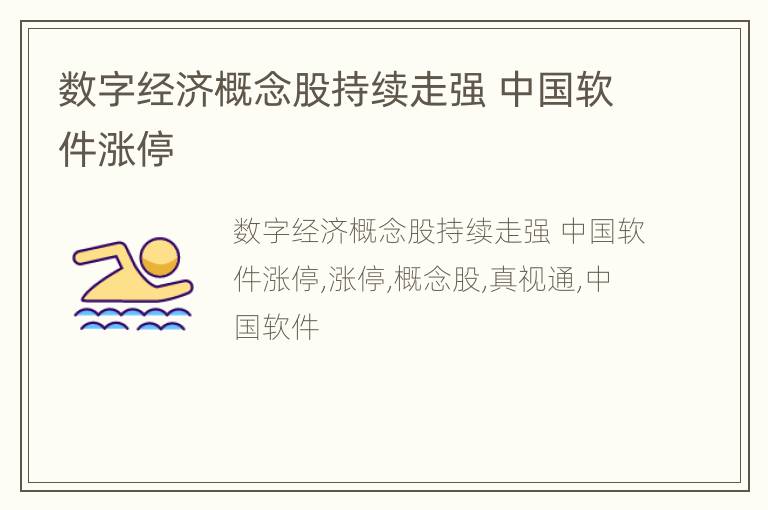 数字经济概念股持续走强 中国软件涨停