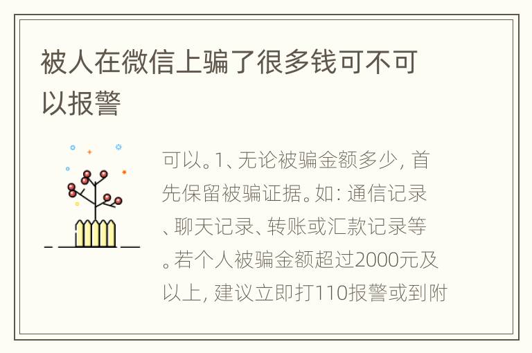 被人在微信上骗了很多钱可不可以报警