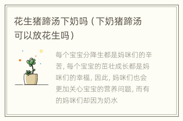 花生猪蹄汤下奶吗（下奶猪蹄汤可以放花生吗）
