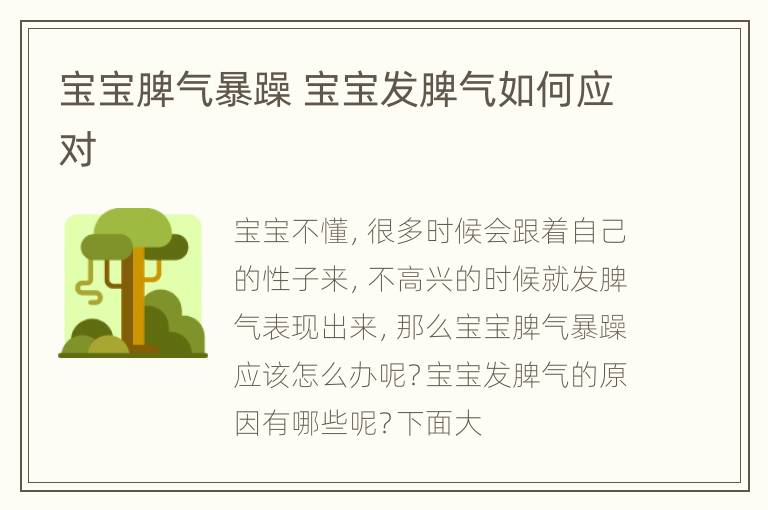宝宝脾气暴躁 宝宝发脾气如何应对