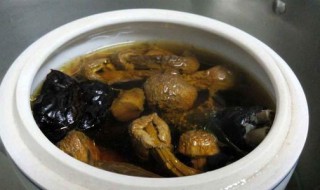 松茸干怎么做才好吃 松茸干好吃的做法介绍