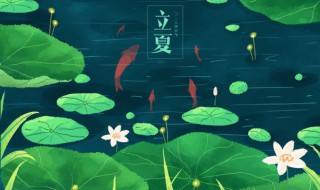 立夏问候语怎么写 有什么立夏问候语
