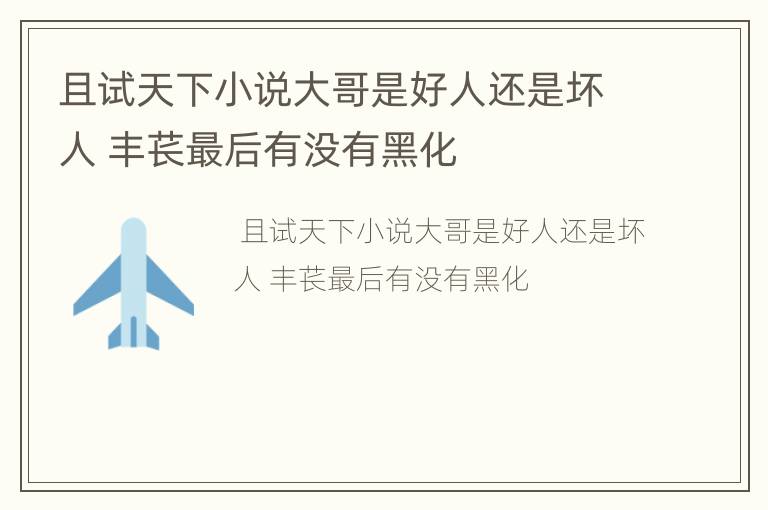 且试天下小说大哥是好人还是坏人 丰苌最后有没有黑化
