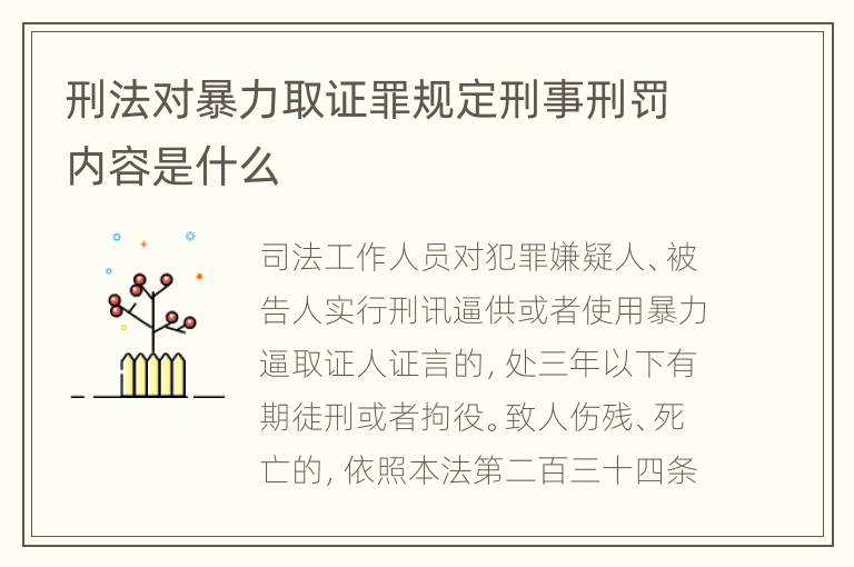 刑法对暴力取证罪规定刑事刑罚内容是什么