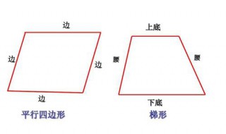 梯形的上底和下底怎样区分 梯形的上底和下底区分的方法