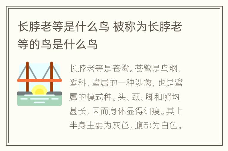 长脖老等是什么鸟 被称为长脖老等的鸟是什么鸟