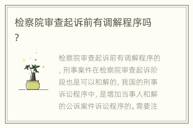 检察院审查起诉前有调解程序吗？