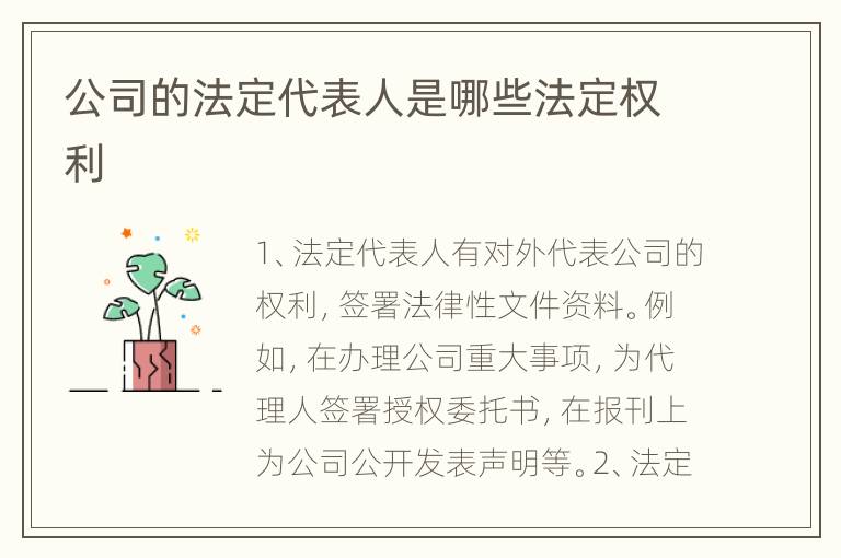公司的法定代表人是哪些法定权利