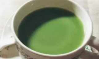 湿气重可以喝青汁吗 湿气重可不可以喝青汁
