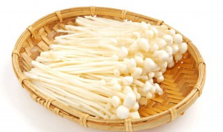 金针云耳绍菜汤的做法 金针云耳绍菜汤的烹饪方法