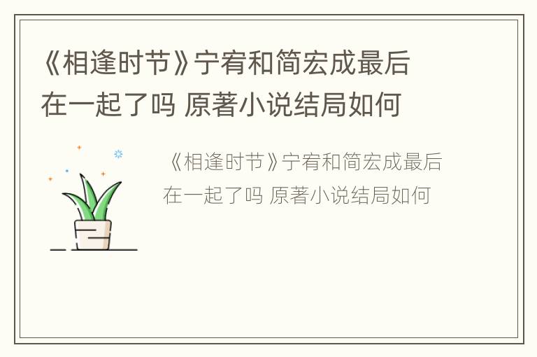 《相逢时节》宁宥和简宏成最后在一起了吗 原著小说结局如何