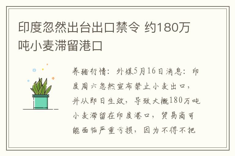 印度忽然出台出口禁令 约180万吨小麦滞留港口