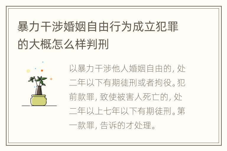 暴力干涉婚姻自由行为成立犯罪的大概怎么样判刑