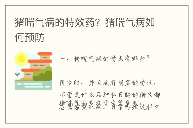猪喘气病的特效药？猪喘气病如何预防