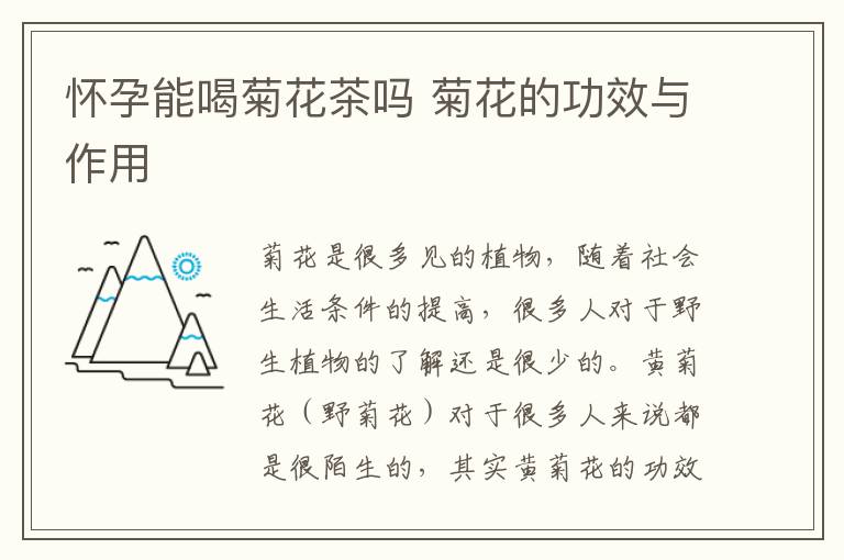 怀孕能喝菊花茶吗 菊花的功效与作用