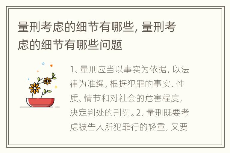 量刑考虑的细节有哪些，量刑考虑的细节有哪些问题