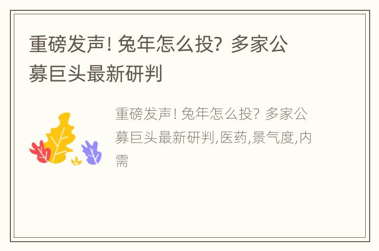 重磅发声！兔年怎么投？ 多家公募巨头最新研判