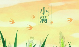 小满节气介绍 小满节气的简述