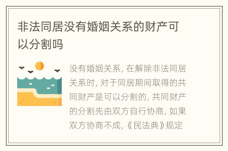 非法同居没有婚姻关系的财产可以分割吗