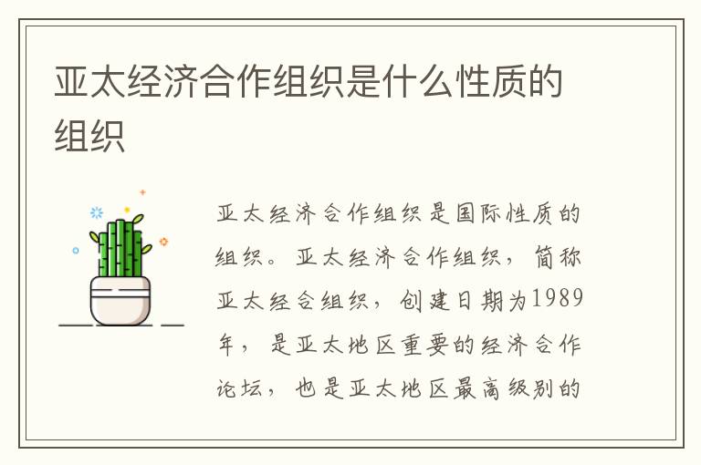 亚太经济合作组织是什么性质的组织
