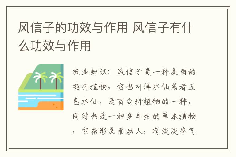 风信子的功效与作用 风信子有什么功效与作用