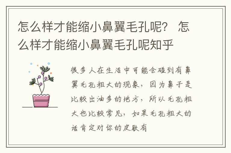 怎么样才能缩小鼻翼毛孔呢？ 怎么样才能缩小鼻翼毛孔呢知乎
