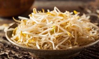 绿豆芽怎么养（绿豆芽怎么养才能让它长得快?）