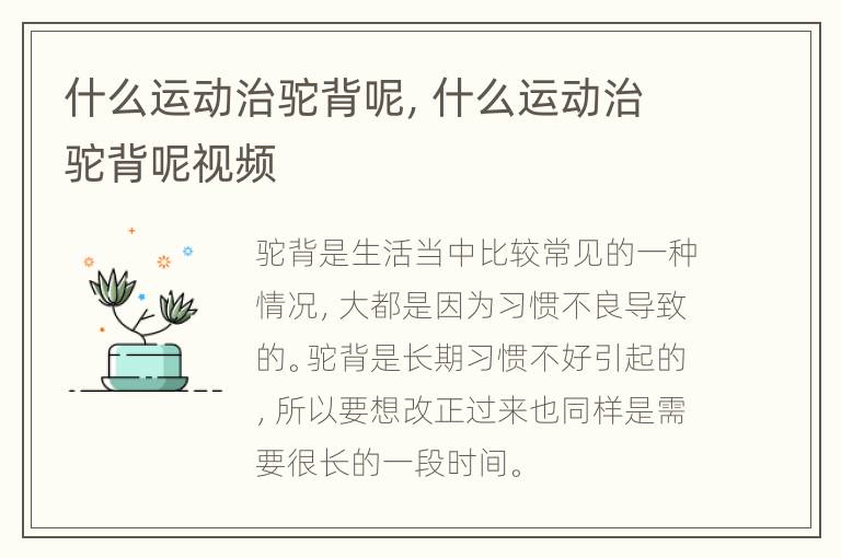 什么运动治驼背呢，什么运动治驼背呢视频