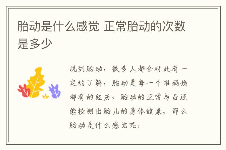 胎动是什么感觉 正常胎动的次数是多少