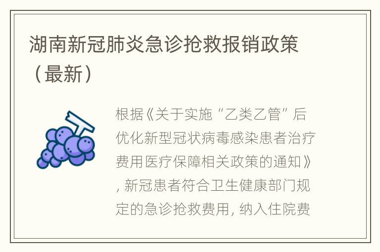 湖南新冠肺炎急诊抢救报销政策（最新）