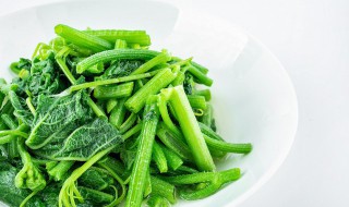 春季时令菜制作方法 春季的时令蔬菜以及做法