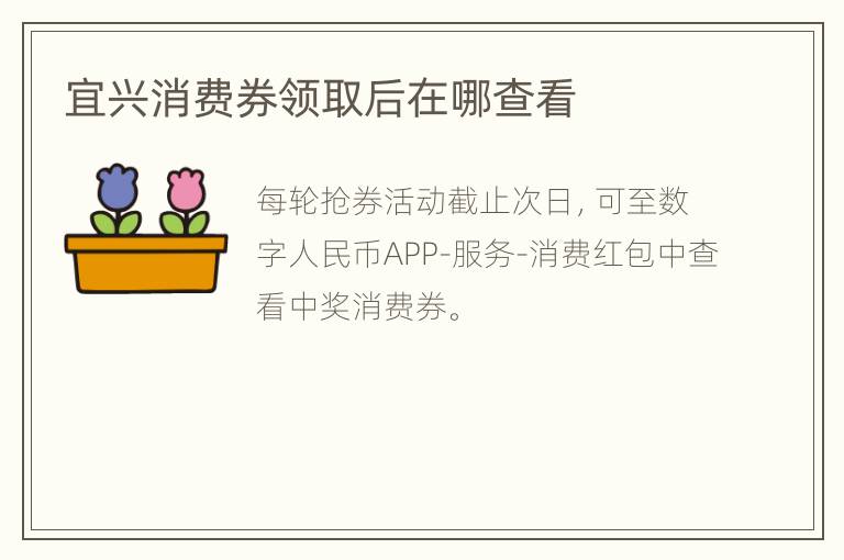 宜兴消费券领取后在哪查看