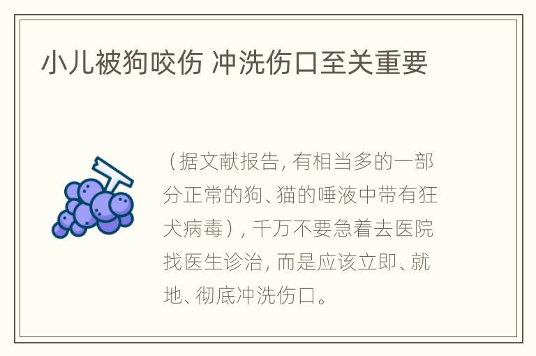 小儿被狗咬伤 冲洗伤口至关重要