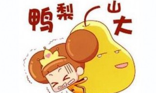 鸭梨山大什么意思 鸭梨山大意思简单介绍
