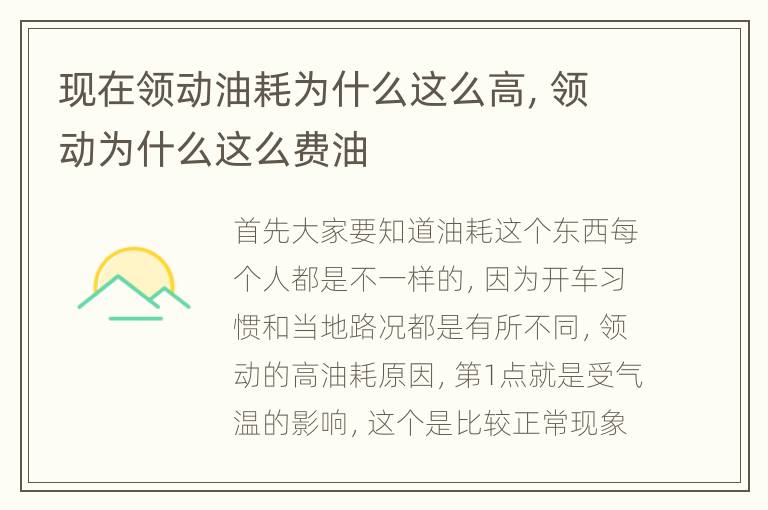 现在领动油耗为什么这么高，领动为什么这么费油