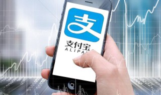 新版手机支付宝免密设置在哪里看 新版支付宝怎么设置免密支付
