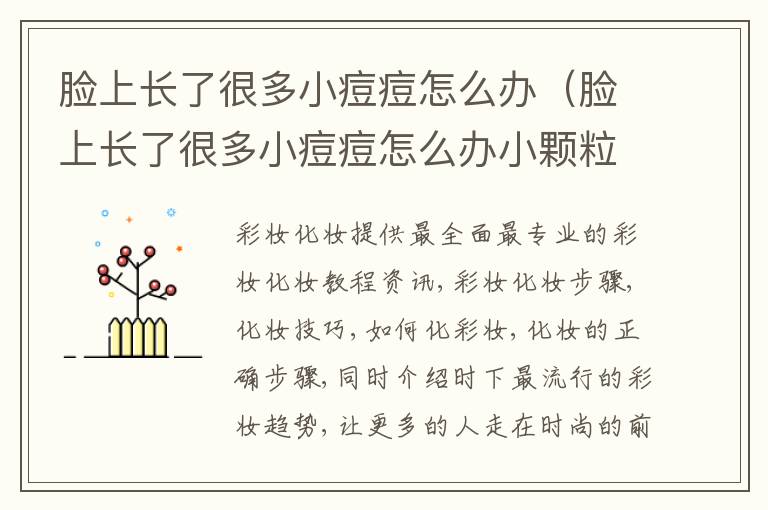 脸上长了很多小痘痘怎么办（脸上长了很多小痘痘怎么办小颗粒的东西）