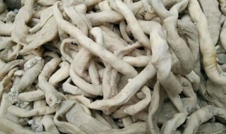羊肠制作方法 羊肠怎么做好吃