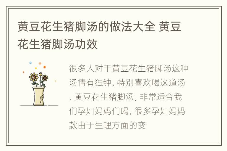 黄豆花生猪脚汤的做法大全 黄豆花生猪脚汤功效