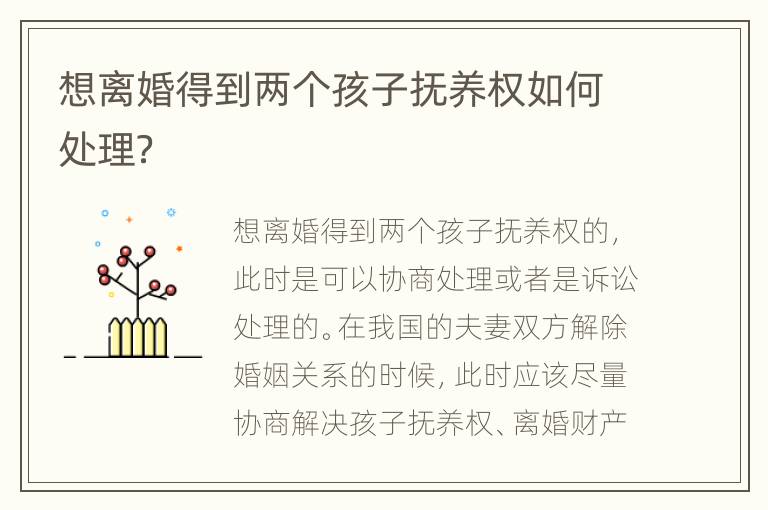 想离婚得到两个孩子抚养权如何处理？