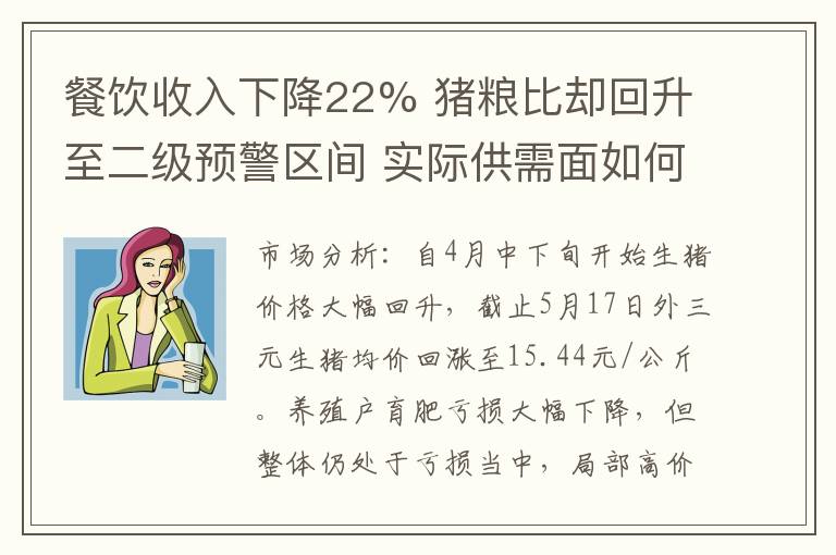 餐饮收入下降22% 猪粮比却回升至二级预警区间 实际供需面如何?