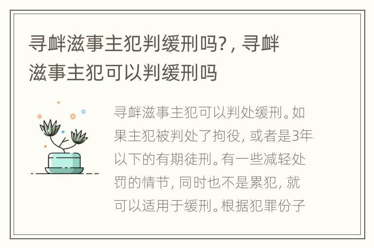 寻衅滋事主犯判缓刑吗？，寻衅滋事主犯可以判缓刑吗