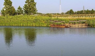 宾阳湿地公园在哪里 关于宾阳湿地公园的位置介绍