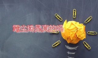 雮尘珠是真的吗 雮尘珠有什么用