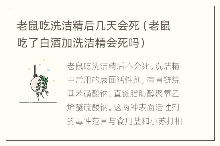 老鼠吃洗洁精后几天会死（老鼠吃了白酒加洗洁精会死吗）