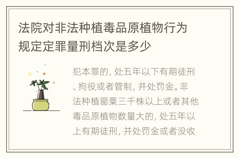 法院对非法种植毒品原植物行为规定定罪量刑档次是多少