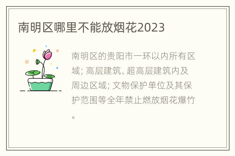 南明区哪里不能放烟花2023