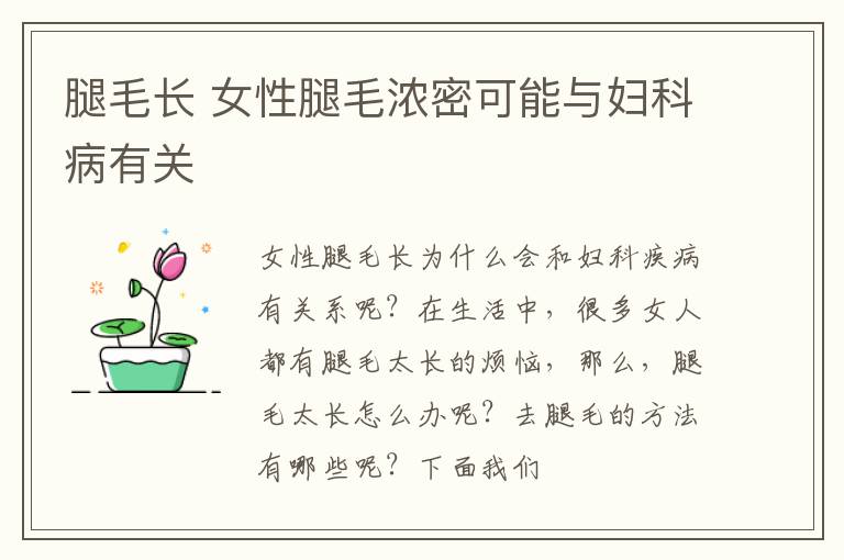 腿毛长 女性腿毛浓密可能与妇科病有关