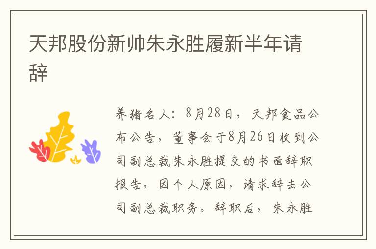 天邦股份新帅朱永胜履新半年请辞